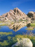 Barker Dam, Joshua Tree National Park, California, USA Photographic Print by Rob Tilley