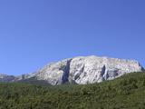 A Pine Forest Below a Rocky Mountain and Blue Sky Photographic Print