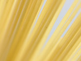 Closeup of Dry Spaghetti Lámina fotográfica