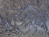 Close-up of Rough Texture Engraved on a Shiny Metallic Surface Photographic Print