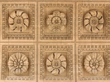 Close-up of a Carved Flowers and Leaves on a Beige Stone Wall Photographic Print