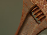 Rusted Wrench Lámina fotográfica