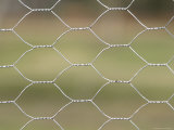 Close Up of Chain Link Fence Lámina fotográfica Close Up of Chain Link Fence Lámina fotográfica