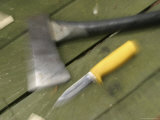 Close Up of Axe Lámina fotográfica