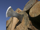 Axe and Logs Lámina fotográfica