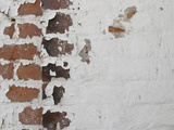 Close Up of Brick Wall Lámina fotográfica