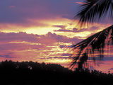 Gold and Pink Sunset with Silhouette of Palm Tree Photographic Print