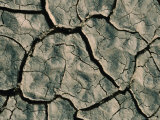 Parched Earth Indicative of Scorching Year-Round Temperatures, Djibouti, Djibouti Photographie par Frances Linzee Gordon