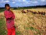 Shepherd Girl with Sheep, Amrit, Syria Photographie par Wayne Walton