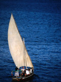 Traditional Dhow Leaving Port, Lamu, Coast, Kenya Photographic Print by Ariadne Van Zandbergen