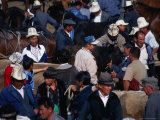 Sunday animal market, Karakol, Kyrgyzstan Photographic Print by Martin Moos