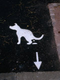 Public Health Sign, Alsace, France Photographie par Stephen Saks