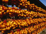 Ceremonial Gourds at a Shinto Temple on Ksushu Island, Japan Photographic Print by James Marshall