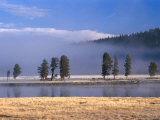 Alum Creek in the Hayden Valley, Yellowstone National Park, Wyoming, USA Photographie par Carol Polich