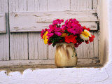 Flowers in Vase on Window Ledge, Megala Horafia, Greece Photographic Print by Trevor Creighton