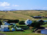 Houses Next to Lake, Port Howard, Falkland Islands Photographic Print by Tony Wheeler