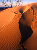 Sand Dune on Tarkine Coast, Tarkine, Australia Photographic Print by Paul Sinclair