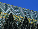 Tiled Rooftop Of St Stephens Cathedral, Vienna, Austria Lámina fotográfica por Jon Davison