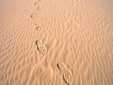 Footprints in Sand at Eco Beach, Broome, Australia Photographic Print by Trevor Creighton