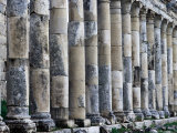 Columns along Cardo, Main Street of Historic Site, Apamea, Hama, Syria Photographic Print by Tony Wheeler