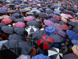 Umbrellas at the passion plays during Easter week, Kalwaria Zebrzydowska, Poland Lámina fotográfica por Krzysztof Dydynski