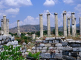 Temple of Aphrodite's Fourteen Columns Dating from 1st Century BC, Nazilli, Aydin, Turkey Photographic Print by Diana Mayfield