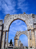 Arches of Qala'At Samaan, Ruined Basilica Built Around Pillar of St. Simeon, Halab, Syria Photographic Print by Tony Wheeler