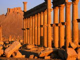 Colannaded Street with Qalat Ibn Maan (Arab Castle) on Hill, Palmyra, Syria Photographic Print by Mark Daffey