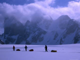 Mt. Asgard Behind Sledding Group on Turner Glacier, Auyuittuq NP, Baffin Island, Nunavut, Canada Photographie par Grant Dixon