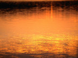 Evening Reflections on Lake Itasca, Itasca State Park, USA Photographic Print by John Elk III