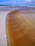Tannin Stained Stream, Usually Caused by Tea-Tree, South West National Park, Tasmania, Australia Photographie par Grant Dixon