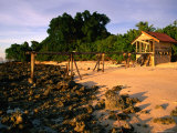 Old Boat Shed on Pulau Selingan, Turtle Islands National Park, Sabah, Malaysia Photographic Print by Mark Daffey