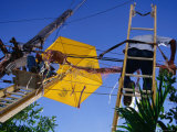 Men Repairing Telephone Lines, Havana, Cuba Photographic Print by Rick Gerharter