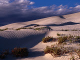 Dunes of the Great Australian Bight, Australia Photographic Print by Diana Mayfield