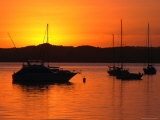 Sunset Over Boats Moored in Russell Harbour, New Zealand Fotografie-Druck von David Wall