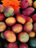 Mangoes for Sale on Roadside Stall, Reunion Photographic Print by Jean-Bernard Carillet