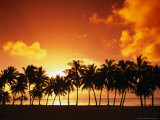 Sunset Over Palm Trees On West Coast, Cook Islands Lámina fotográfica por Manfred Gottschalk