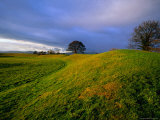 Giant's Ring Dates from 4000 BC, Ballynahatty, United Kingdom Photographie par Oliver Strewe
