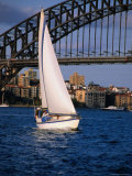 Yachting Below the Harbour Bridge, Sydney, Australia Photographic Print by Greg Elms