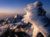 Frozen Rime After Winter Storm in South-West National Park, Tasmania, Australia Photographie par Grant Dixon