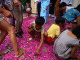 Children Picking Up Fireworks at Wedding Hue, Thua Thien-Hue, Vietnam Photographic Print by Phil Weymouth