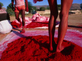 Man Standing in Vermillion Dye, Pushkar, India Fotografisk tryk af Paul Beinssen Man Standing in Vermillion Dye, Pushkar, India Fotografisk tryk af Paul Beinssen