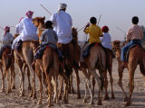 Early Morning Training for Camel Racing, Dubai, United Arab Emirates Photographic Print by Phil Weymouth