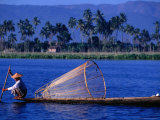 Intha Fisherman with Fishtrap, Inle Lake, Shan State, Myanmar (Burma) Photographic Print by Anders Blomqvist