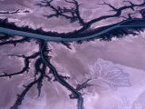 The River System and Estuaries Near the Gulf of Carpenteria, Queensland, Australia Giclee Print