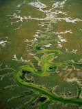 Wetlands at Carrizo Plain, California, USA, Photographic Print