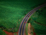 Aerial View of Cane Field and Highway, USA Photographie par Peter Hendrie