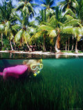Woman Snorkelling, Micronesia Photographic Print by Casey Mahaney