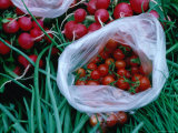 Fresh Radishes and Cherry Tomatoes for Sale at Salamanca Market, Hobart, Tasmania, Australia Photographic Print by John Hay
