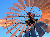 Detail of Vanes of Windpump at Fitzroy Crossing, Fitzgerald River National Park, Australia Photographic Print by Trevor Creighton